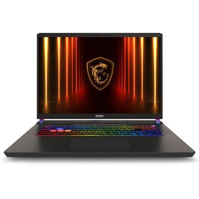Noutbuk MSI Vector 17 HX AI A2XWJG-213AZ (9S7-17S372-213)